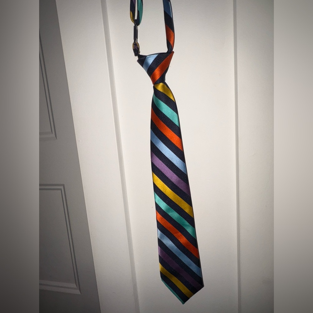 Children’s Place Multicolor Striped Tie for boys
